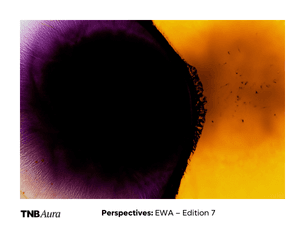Perspectives: EWA – Edition 7