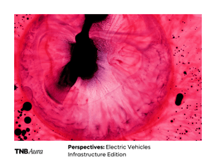 Perspectives: Electric Vehicles Infrastructure Edition